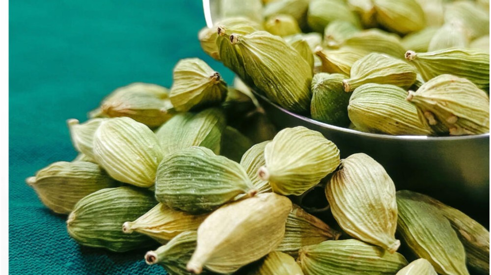 انواع هل؛ اگر این 7 نکته را ندانید در خرید هل به دردسر می‌افتید!