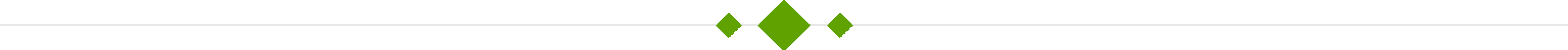 line-1536x50.png